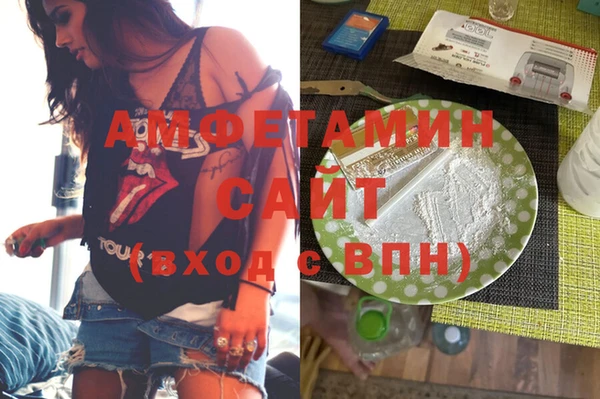 сатива Россошь