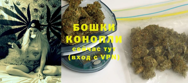 индика Ростов