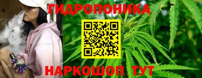 ПСИЛОЦИБИНОВЫЕ ГРИБЫ Моздок