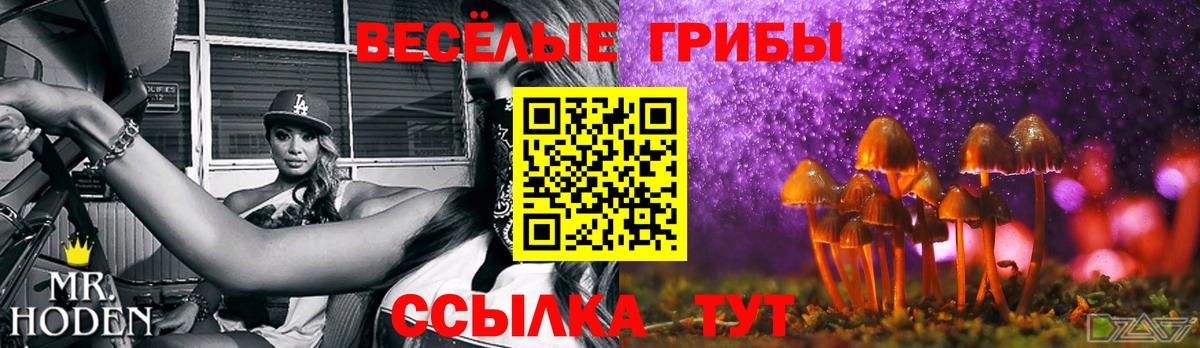 Галлюциногенные грибы GOLDEN TEACHER  Вход с VPN  Бугуруслан 