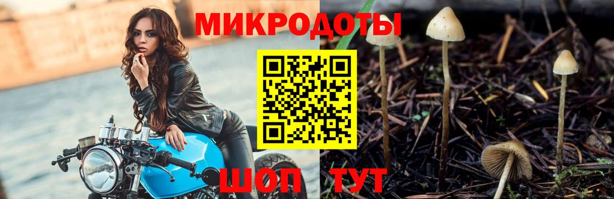 Псилоцибиновые грибы Magic Shrooms Бугуруслан