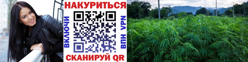 где найти   Бугуруслан  Каннабис ГИДРОПОН 